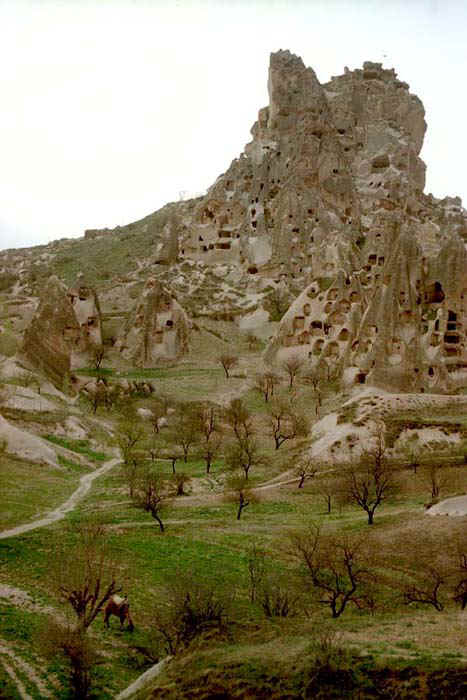 3123_01.jpg (35691 bytes)