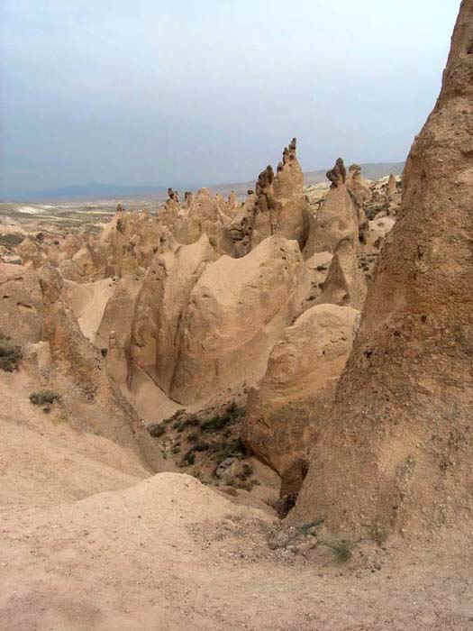 3123_01.jpg (35691 bytes)