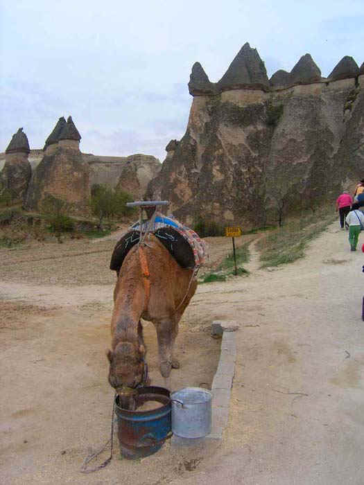 3123_01.jpg (35691 bytes)