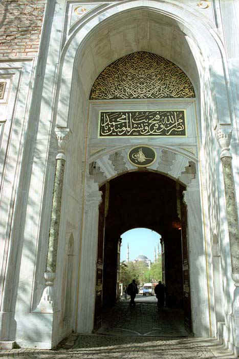 3123_01.jpg (35691 bytes)