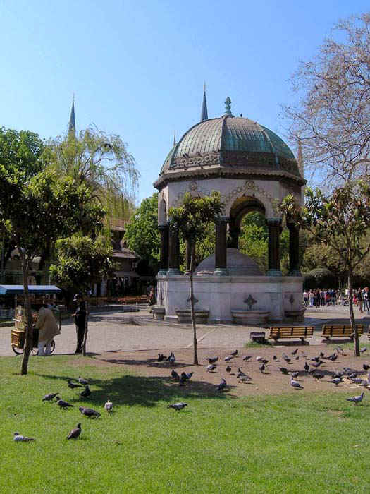 3123_01.jpg (35691 bytes)