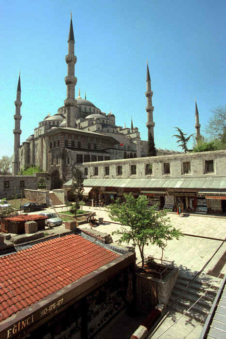 3123_01.jpg (35691 bytes)