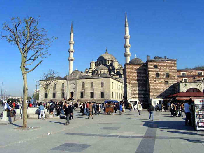 3123_03.jpg (87854 bytes)