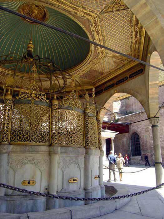 3123_01.jpg (35691 bytes)